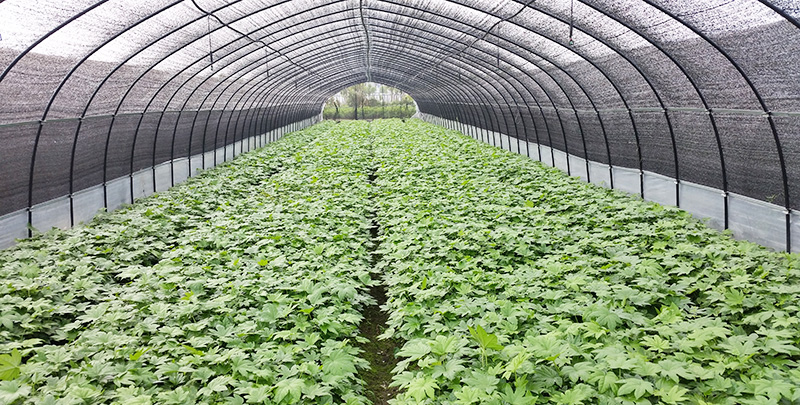 BG视讯·(大游集团)唯一官方网站