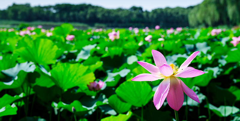 BG视讯·(大游集团)唯一官方网站