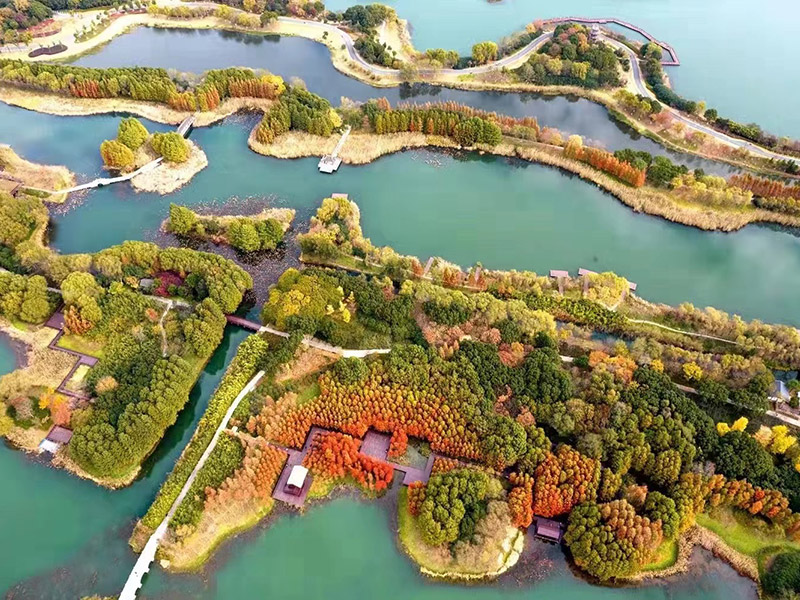 BG视讯·(大游集团)唯一官方网站